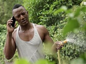 Негр ебёт белокожего гея туриста под пальмой