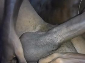 Чернокожие гомосеки страстно трахаются после многолюдного карнавала